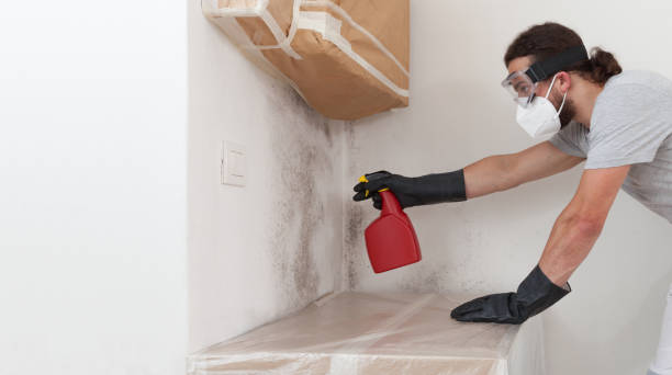 Professional Mold Removal technician working in Matawan, NJ