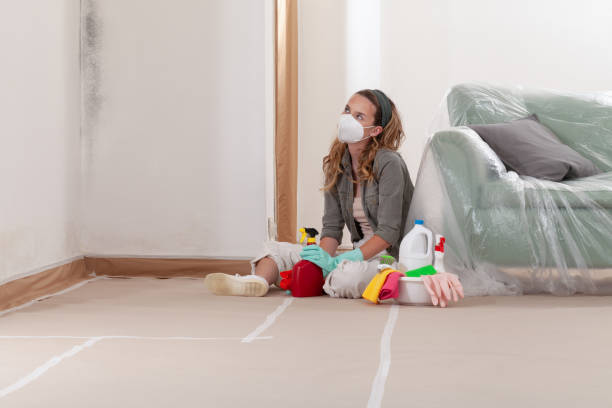 Reliable Mold Removal contractor in Matawan, NJ by WQB Mold Removal
